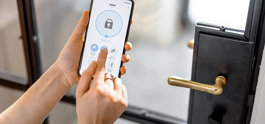 Remote Control Locks Sensor Repair in Oswego, Illinois