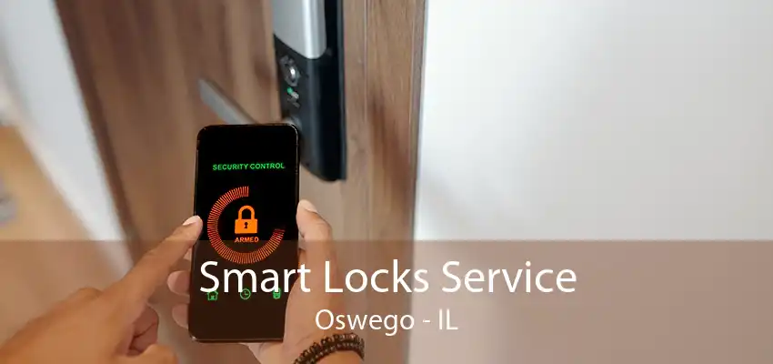 Smart Locks Service Oswego - IL